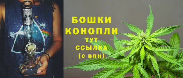 трава Белая Холуница
