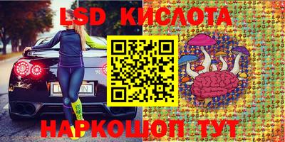 спайс Кимры