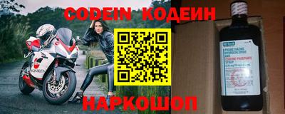 ешки Кингисепп