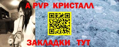 ешки Кингисепп
