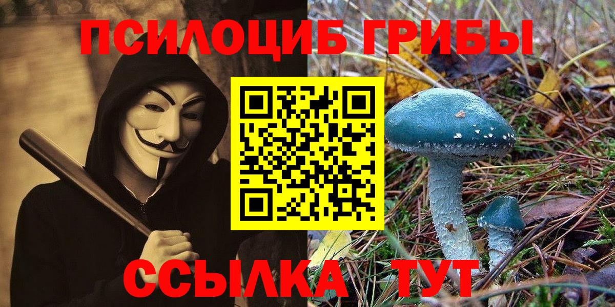 Галлюциногенные грибы ЛСД  Псилоцибиновые грибы Psilocybe  Нефтекумск  Вход с VPN 